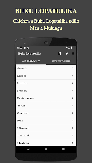Buku Lopatulika Mau a Mulungu Screenshot 0