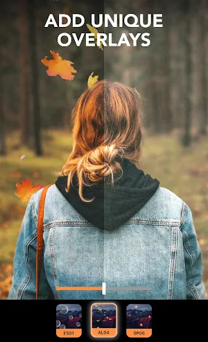 Enlight Pixaloop - Photo Animator & Photo Editor screenshot 7