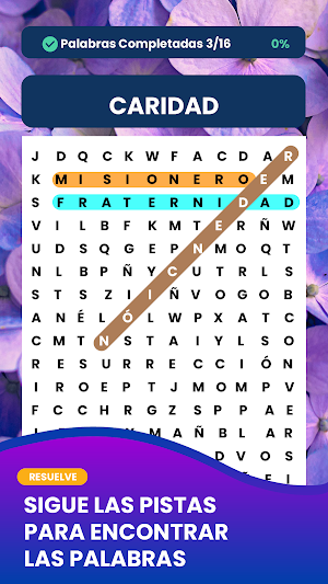 Sopa de Letras en Español Screenshot 2