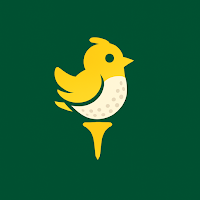 Birdie Board