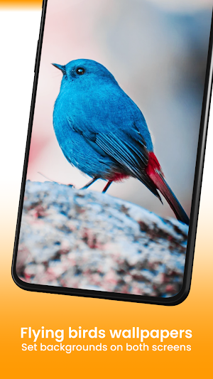 Animal Wallpaper 4K HD Screenshot 3