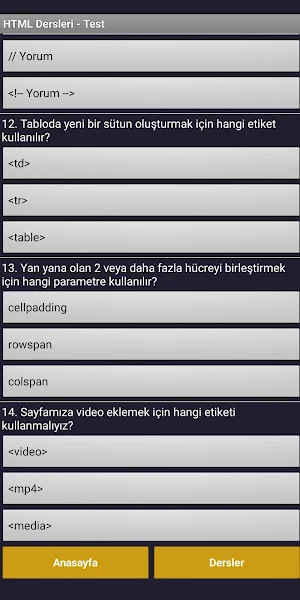 HTML ve CSS Dersleri Screenshot 3
