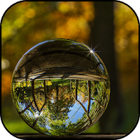 Reflection wallpapers
