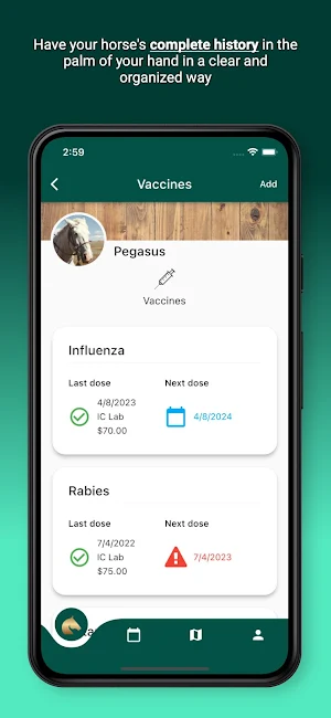 Horsefy: Horses and riding Screenshot 3