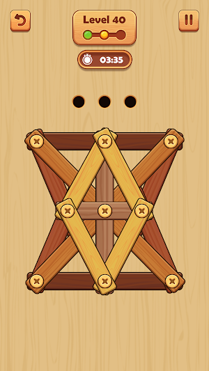Wooden Nuts: Wood Nuts & Bolts Screenshot 2