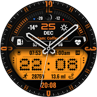 PT33 Hybrid Watch Face