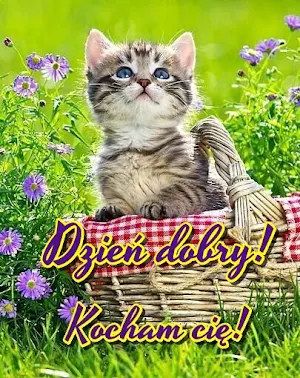 Dzień dobry! Screenshot 0