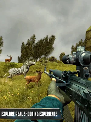 Wild Animal Hunting Game :Animal Shooting Games Screenshot 3