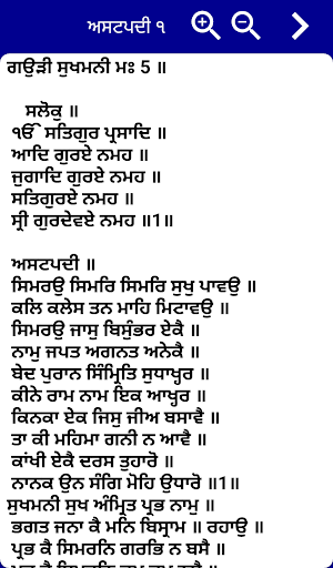 Sukhmani Sahib Path with Audio Screenshot 3