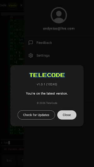 TeleCode: Remote Coding Screenshot 3