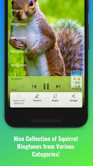 Squirrel Sounds Screenshot 1