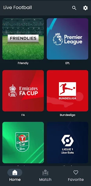Football Live TV HD Stream Screenshot 2