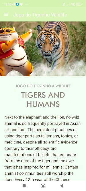 Tigrinho & Fortune Tiger Screenshot 3