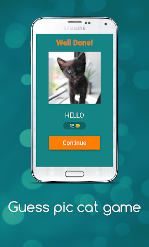 Guess Cute Cat Game Screenshot 1