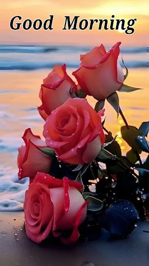Everyday Good Morning Wishes Screenshot 2