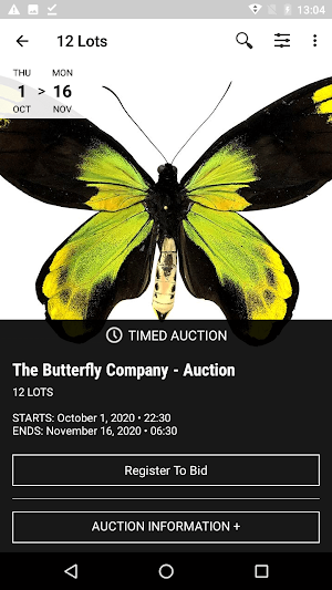 The Butterfly Company Auction Screenshot 1