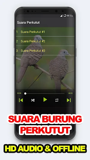 Suara Burung: Kicau Perkutut Screenshot 0