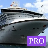 MEO Class IV QA Pro