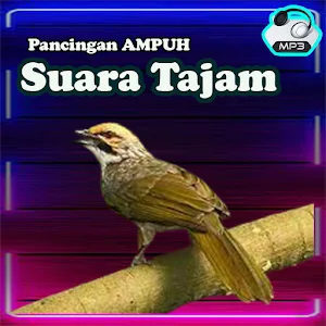 Masteran Cucak Rowo Full Isian Screenshot 1