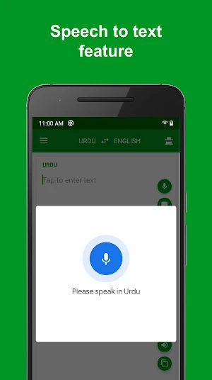 Urdu - English Translator : free & offline Screenshot 2