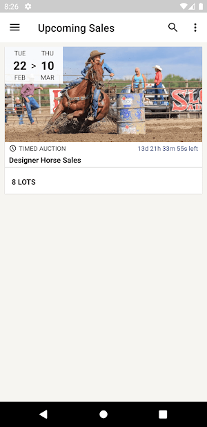 Designer Horse Sales Screenshot 0