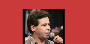 اغاني ميمون الوجدي بدون انترنت Screenshot 3
