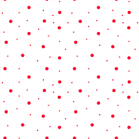 Spines: 2 Cam Cloud Recorder