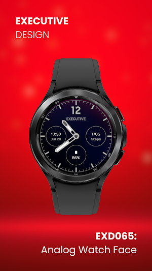 EXD065: Analog Watch Face Screenshot 1