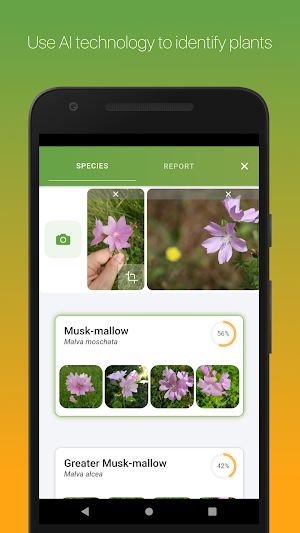 E-Surveyor Screenshot 1