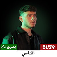 جميع اغاني الشامي 2024 بدون نت