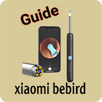 xiaomi bebird guide