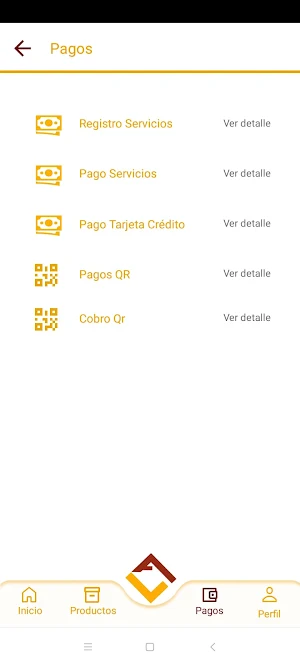 Andina App Screenshot 2