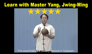 Tai Chi Ball Qigong (Dr. Yang) Screenshot 2