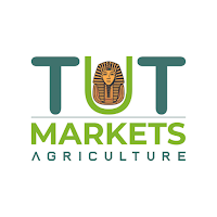 Tut Markets