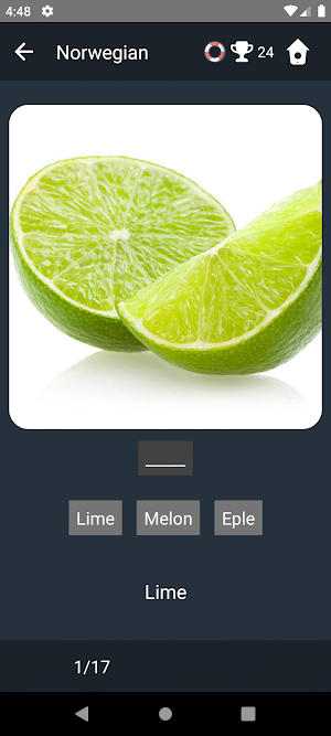 Norwegian Language Tests Screenshot 3