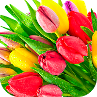 Flowers Stickers for WhatsApp