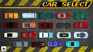 Master Car Driver Screenshot 1