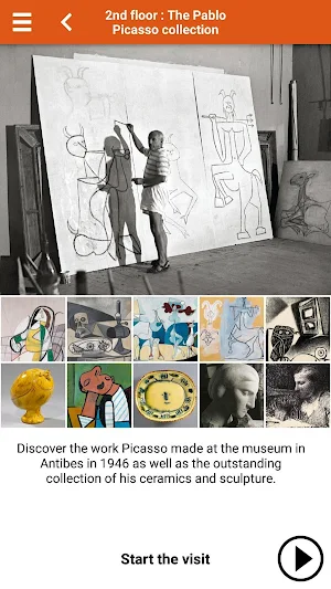 Picasso Antibes Screenshot 2
