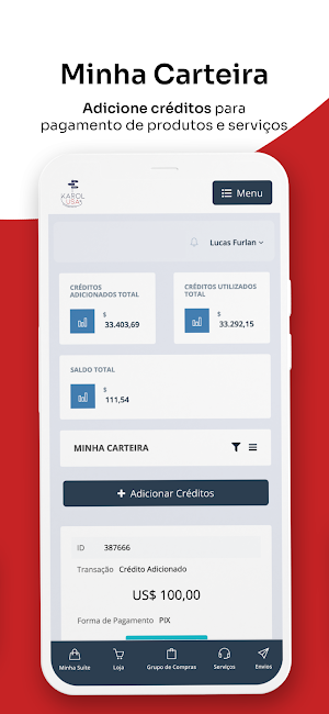 Karol USA Screenshot 2