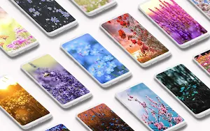 Spring Wallpaper 🌸 Screenshot 0