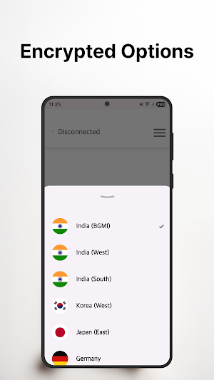 BLVD VPN Screenshot 2