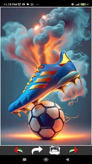 Football Madness Wallpapers Screenshot 2