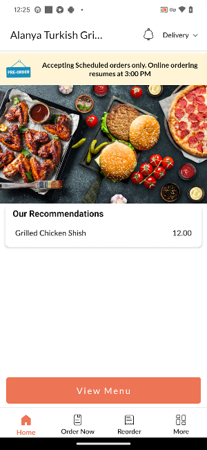 Alanya Turkish Grill Newbridge Screenshot 1