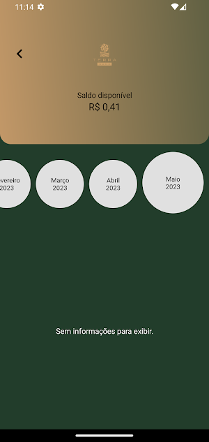 Terra Bank Screenshot 3