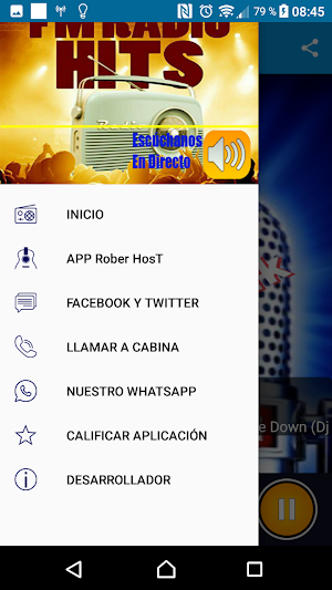Fmradiohits Screenshot 2