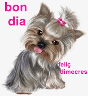 Bon dia imatges Screenshot 3