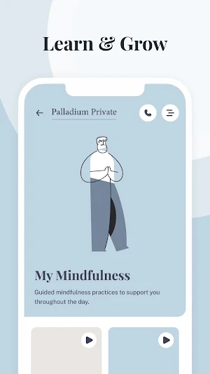 Palladium+ Screenshot 0