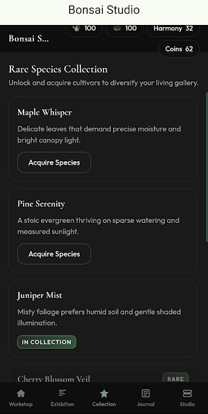 Betninja Screenshot 2