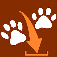 MP3 Paw - Music Video Download