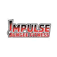 Impulse Bungee Fitness